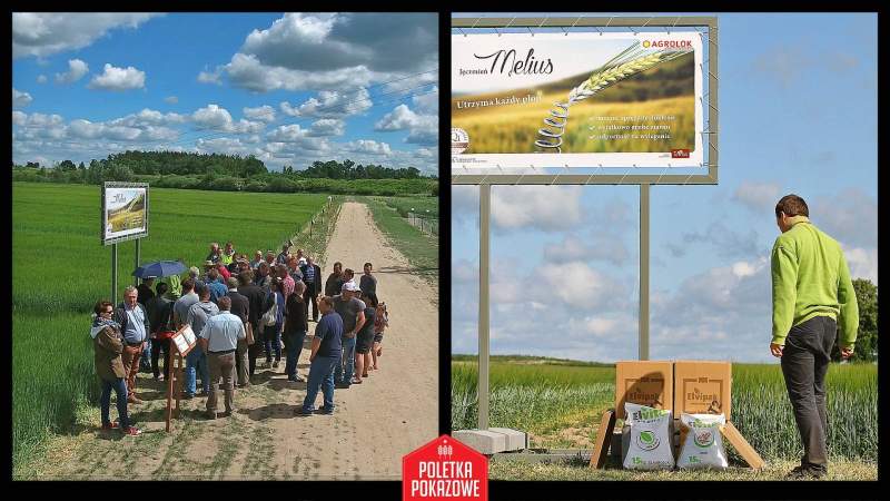 Fotorelacja z Poletek Pokazowych