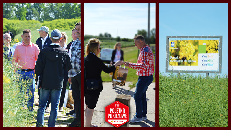 Fotorelacja Dzielimy się doświadczeniem