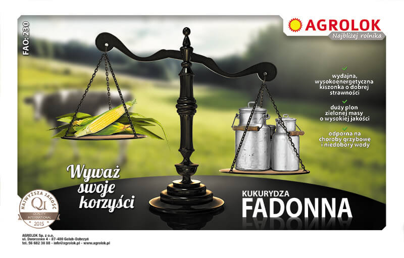 Kukurydza Fadonna
