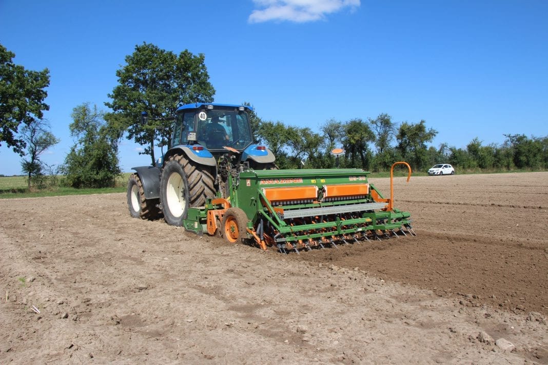 Wybieraj kwalifikowane ziarna rzepaku do siewu